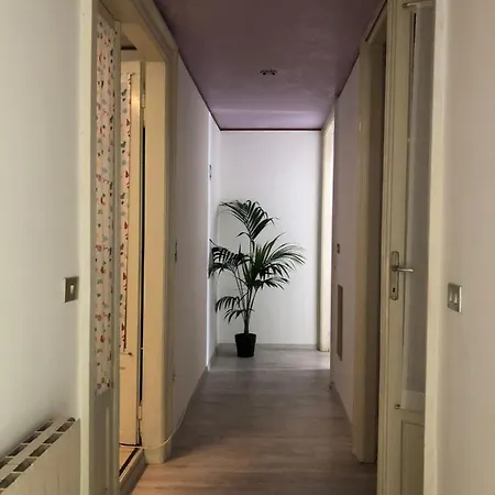 Central 的里雅斯特